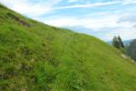 2014-07-05_Laengental-N-Hochweg (832). JPG
